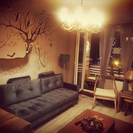 Exquisite 3 Room Apartment In The Heart Of Thetown Campulung Moldovenesc Bagian luar foto